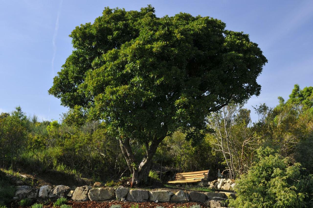 Serra Destri Riparbella Buitenkant foto